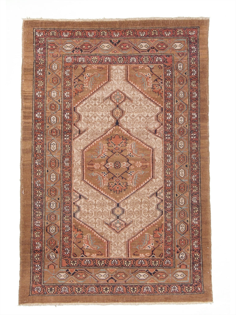 New Pakistan Hand-woven Oriental Rug – RUG Curator